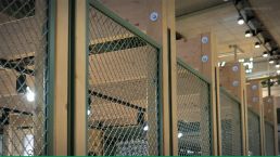 Umgebung und Design der Läden von Bikini Berlin